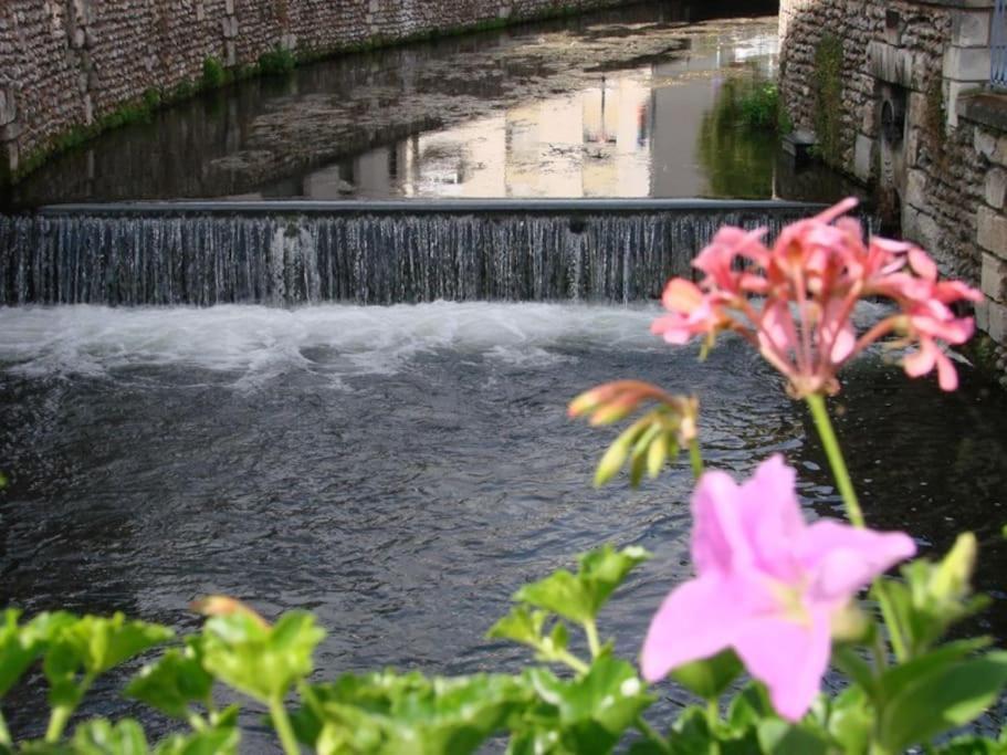 App 1- Studio Lumineux Et Jardin Hyper-centre 5min Gare Apartment *